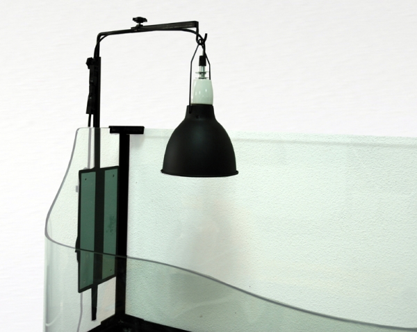 Lamp Support "2 in 1" Lampenständer Lucky Reptil Farbe schwarz